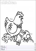 coloriage-poule-2